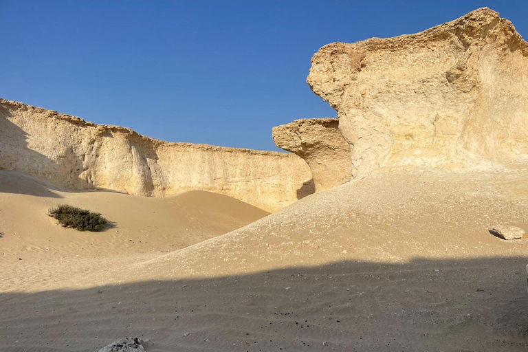 西海岸私人之旅：理查德·塞拉和沙漠奇观