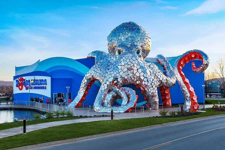 Branson: Aquarium am Boardwalk – Eintrittskarte. Foto: GetYourGuide Branson: Aquarium am Boardwalk – Eintrittskarte. Foto: GetYourGuide