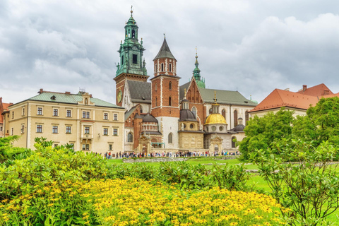 Krakow Old Town and National Museum Private Guided Tour 2-hour: Old Town Tour & Tickets to National Museum