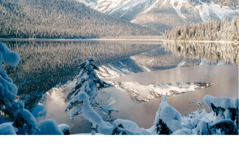 Emerald Lake, Wapta Falls, and Takakkaw Falls Tour in Banff