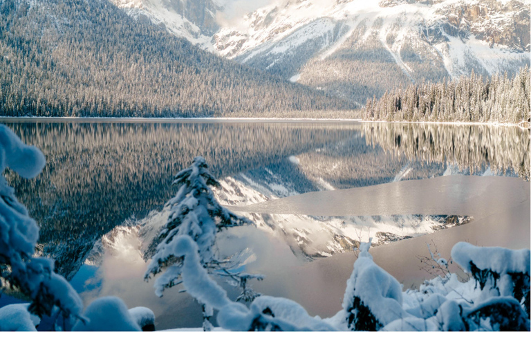 Emerald Lake, Wapta Falls, and Takakkaw Falls Tour in Banff