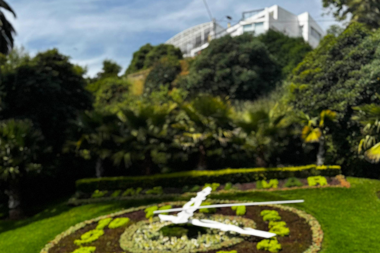 Chile: Valparaíso & Viña del Mar in 1 Day: Must-Sees of the Central Coast Chile: Valparaíso & Viña del Mar in 1 Day: Must-sees of the Central Coast