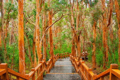 Navigation through Isla Victoria and Bosque de Arrayanes
