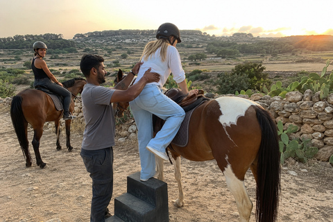 Malta: Sunset Horseback Ride Through Countryside Fields