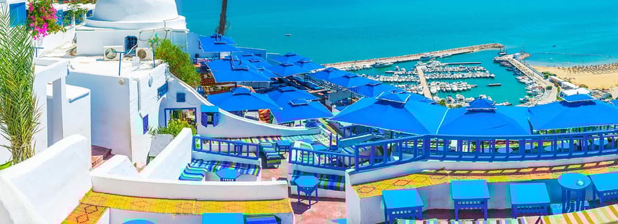 Tunis Carthage, SidiBou Said & Medina Visite privée de jour pour groupe