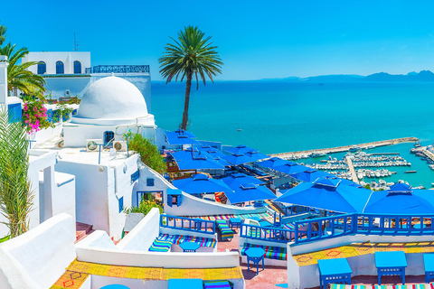 Tunis: Carthage, Sidi Bou Said, &amp; Medina Private Day Tour