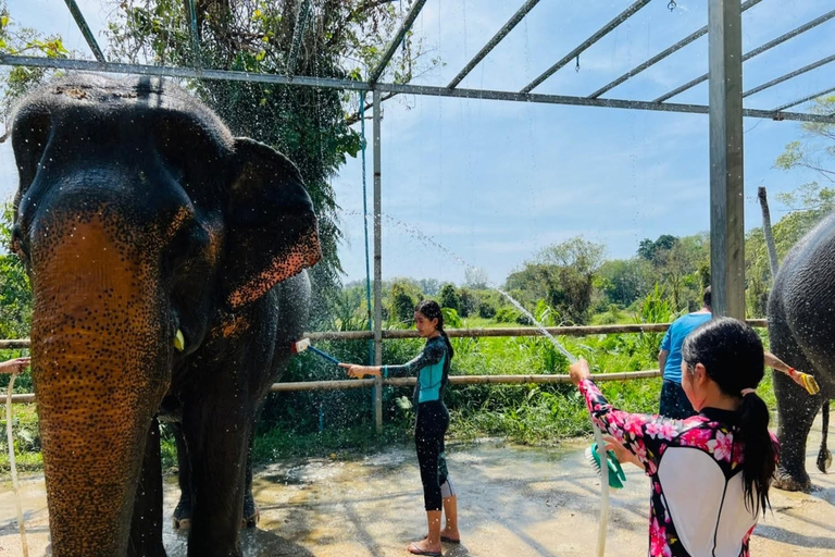 Phuket: Phuket Elephant Care Sanctuary ECO-turHotellupphämtning i Phuket