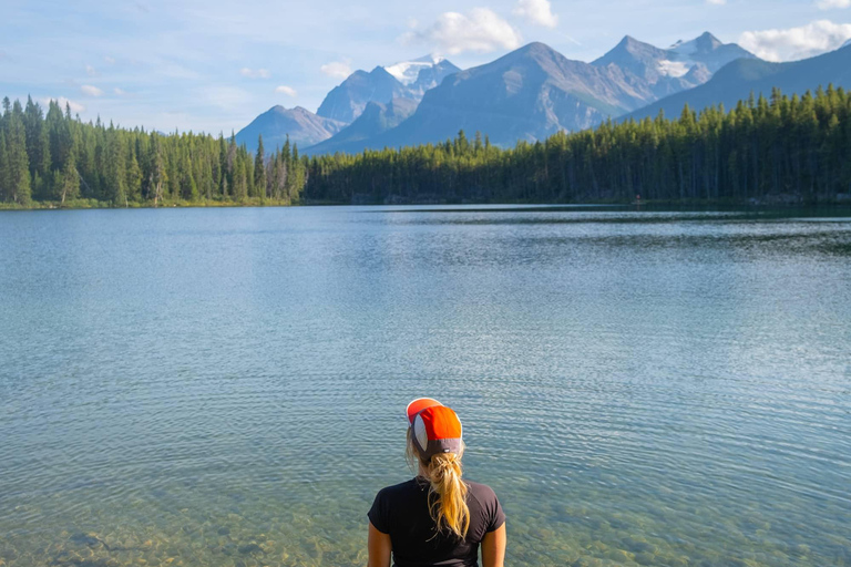 Champ de glace : glacier Crowfoot, lac Bow-Peyto et canyon Marble