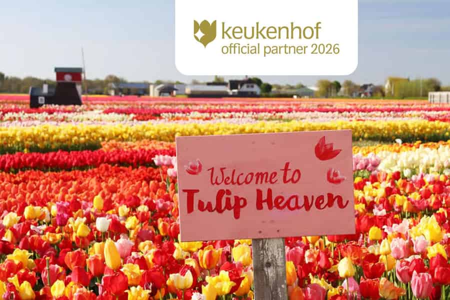 Keukenhof- & Tulpen-Tour ab Amsterdam. Foto: GetYourGuide