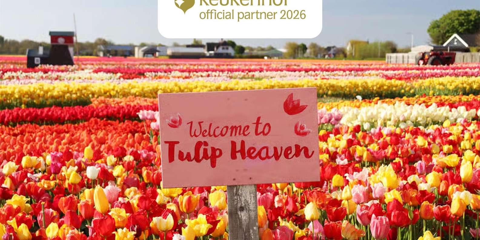 Keukenhof & Tulip Experience Tour From Amsterdam