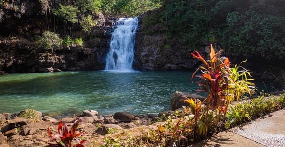 Oahu: Waimea Valley General Admission with Waterfall Access