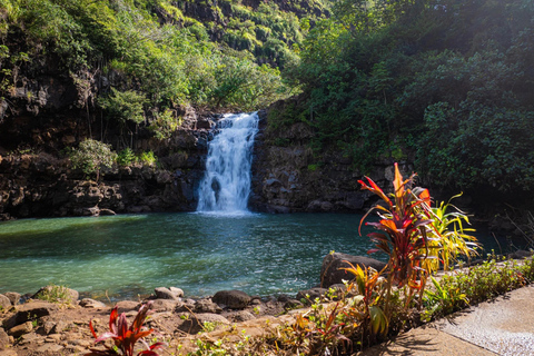 Oahu: Waimea Valley General Admission with Waterfall Access