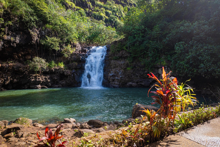 Oahu: Waimea Valley General Admission with Waterfall Access