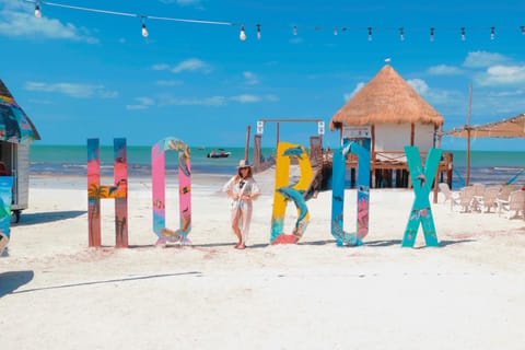 From Cancun or Puerto Morelos: Holbox Boat Tour with Lunch