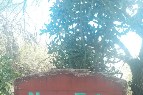 Mombasa: Wildlife Sanctuary Guided Nature Trail Tour Wildlife Sanctuary Guided Nature Trail Tour