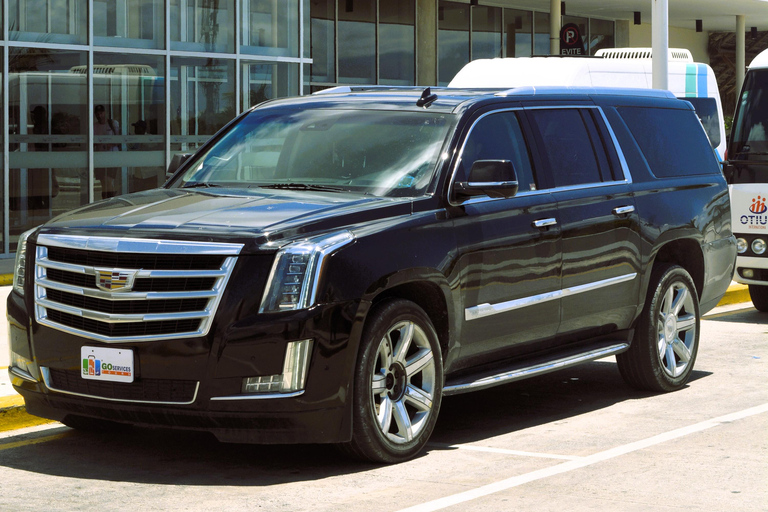 VIP Private Transfer Las Americas Airport to Punta Cana