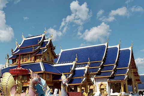 Chiang Mai: Wat Ban Den, Sticky Waterfall, & Rain Tree Tour Giant Rain Tree, Sticky Waterfall, Hiking at Moai Mountain