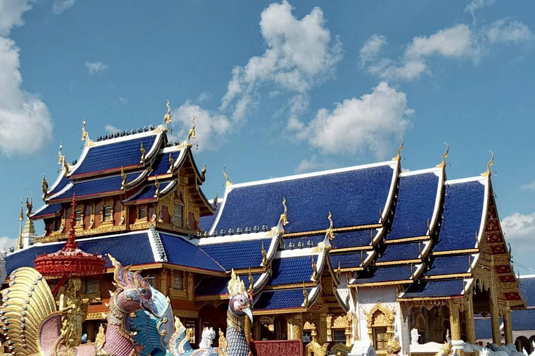 Chiang Mai: Wat Ban Den, Sticky Waterfall, & Rain Tree Tour Giant Rain Tree, Sticky Waterfall, Hiking at Moai Mountain