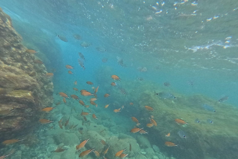 Passeio guiado de caiaque e snorkel (Las Playitas)