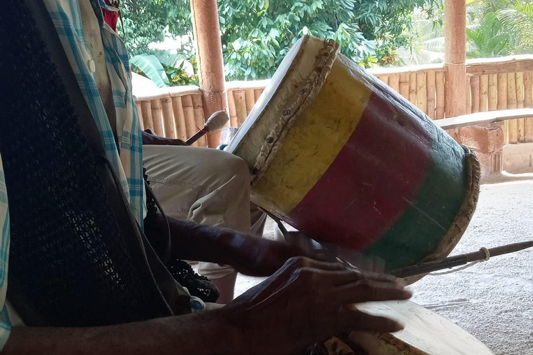 Rastafari Indigenous Village Experience In Irwin Montego Bay