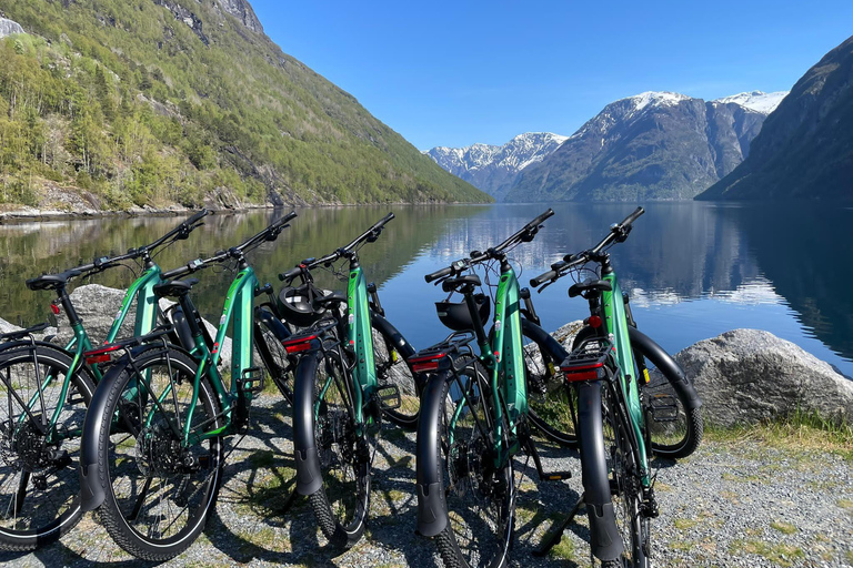 Passeio de bicicleta elétrica de Hellesylt a Norangsdalen