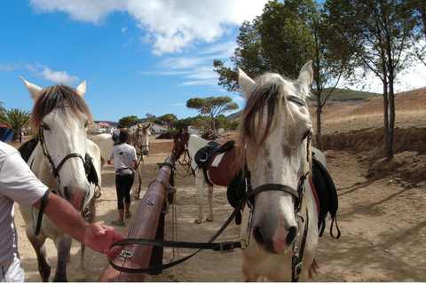Isla de Porto Santo: Paseos a caballo180 min Aventura