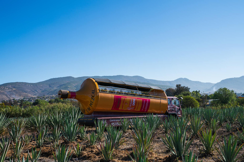 Oaxaca: Legends Tour Mezcalbús