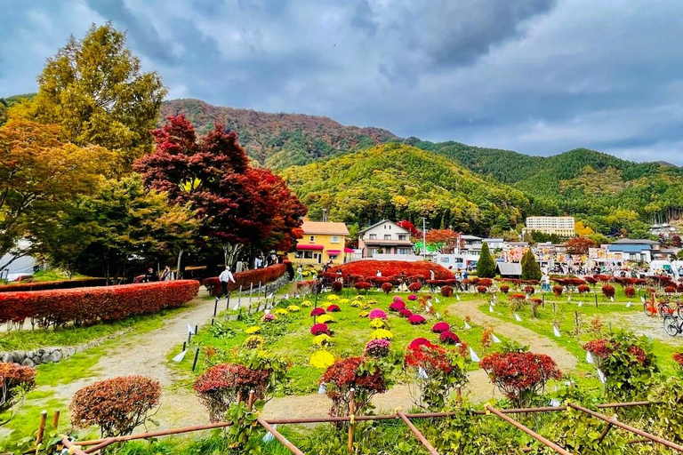 Tokio: Tour de día completo por los cuatro Majestuosos parajes del Monte Fuji