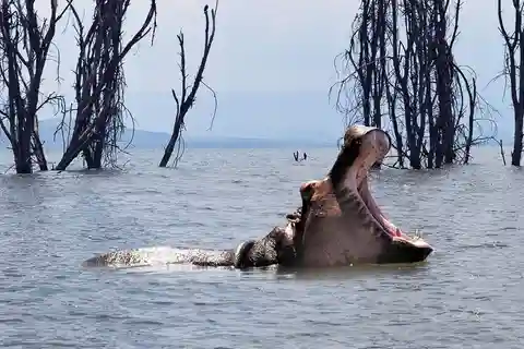 Desde Nairobi:Excursión de día completo al Parque Nacional de la Puerta del Infierno