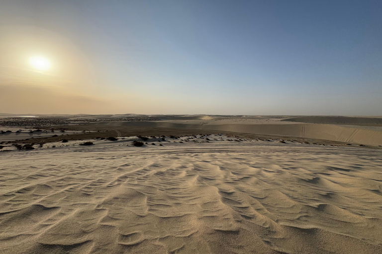 Doha: Desert Safari with Dune Bashing and Sunset Views