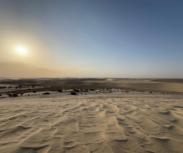 Doha: Desert Safari with Dune Bashing and Sunset Views