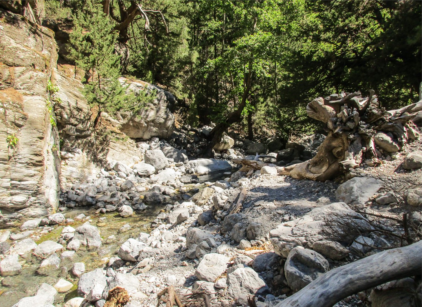 Fra Chania: Heldagsudflugt i Samaria-kløften med guide