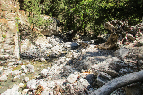 From Chania: Full-Day Samaria Gorge Trek ExcursionFrom Kalyves or Almyrida