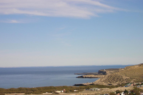 Puerto Madryn: Utflykt till Peninsula Valdes ClassicUpptäck Valdeshalvön dagstur