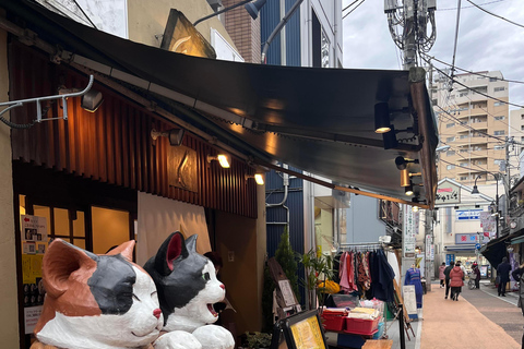 Tokyo: Calm and Cultural Stroll Through Historic Areas