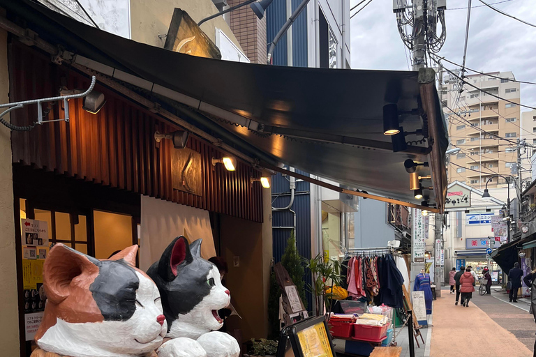 Tokyo: Calm and Cultural Stroll Through Historic Areas