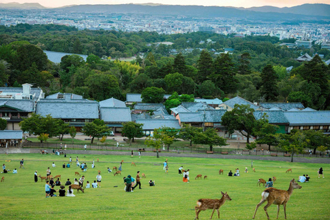 Kyoto & Nara: Private Guided Tour with Hotel Pickup