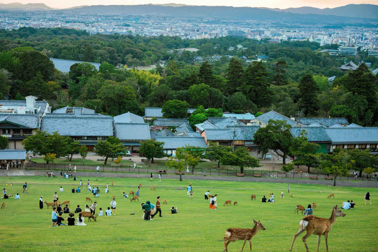 Kyoto & Nara: Private Guided Tour with Hotel Pickup