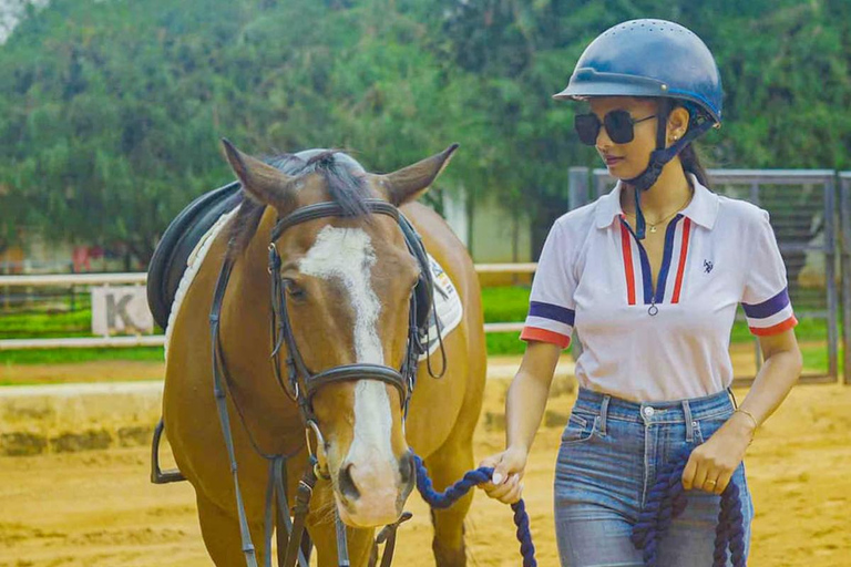 Best Horse Riding Safari Tour from Bangalore