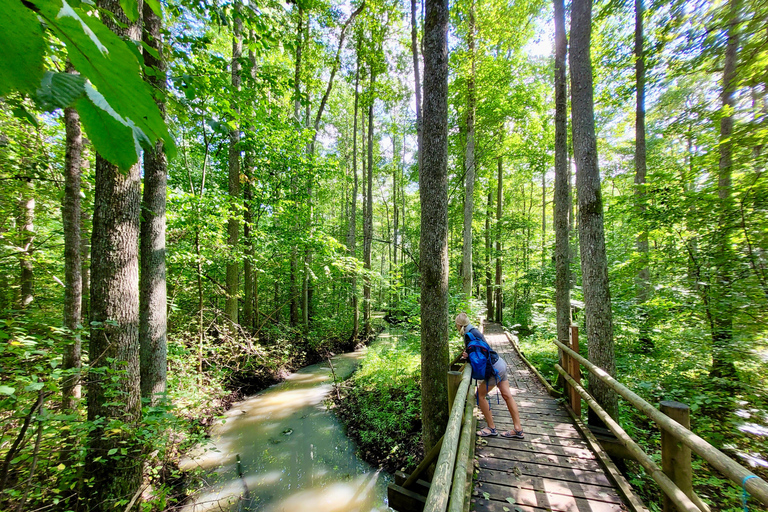 Ķemeri Great Bog With Optional Sunrise & Jūrmala Visit Ķemeri Bog Shared Small Group Tour