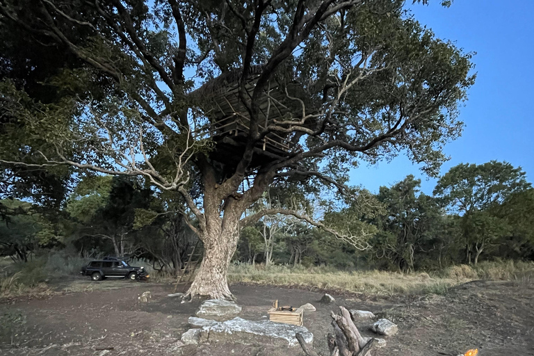 Fuga dalle stelle: Osserva le stelle da una capanna sugli alberi a Sigiriya