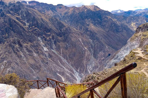 AREQUIPA: CAŁY DZIEŃ W KANIONIE COLCA