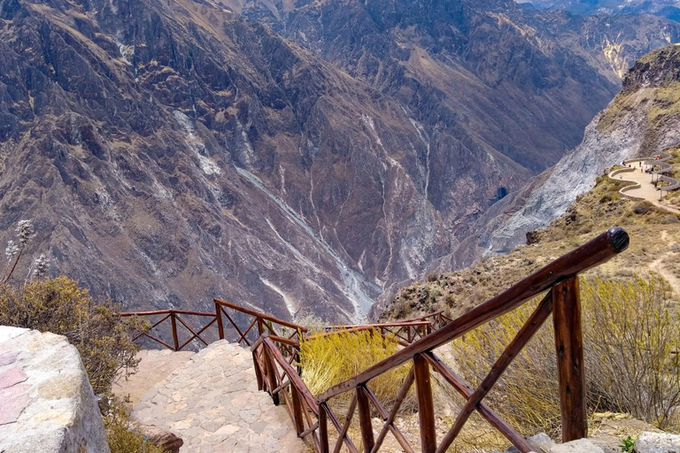 AREQUIPA: GIORNATA INTERA DEL CANYON DEL COLCA