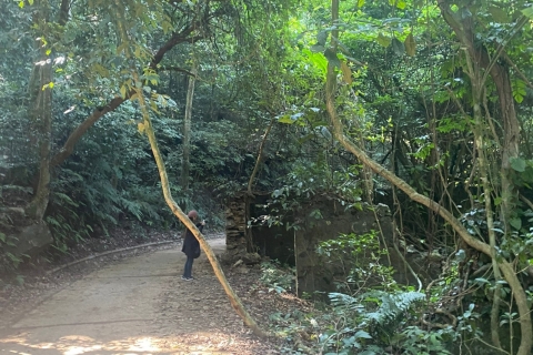Excursión ecológica por Hanói: Maravillas del Parque Nacional de Ba Vi y Plantación de TéTour privado