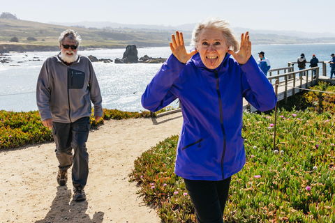 San Francisco: Monterey and Carmel Day Trip w/ 17-Mile Drive From San Francisco: Monterey and Carmel Day Tour