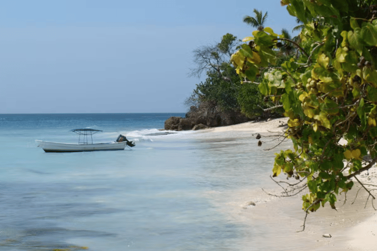 From Punta Cana: Catalina Island Catamaran Cruise with Lunch
