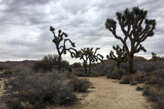 Excursiones de varios días desde San Diego