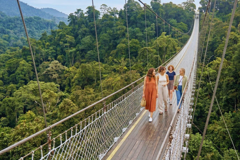 Jakarta: White Crater, Sky Bridge & Hot Springs Premium Tour Bandung: White Crater, Bridge & Hot Springs Tour
