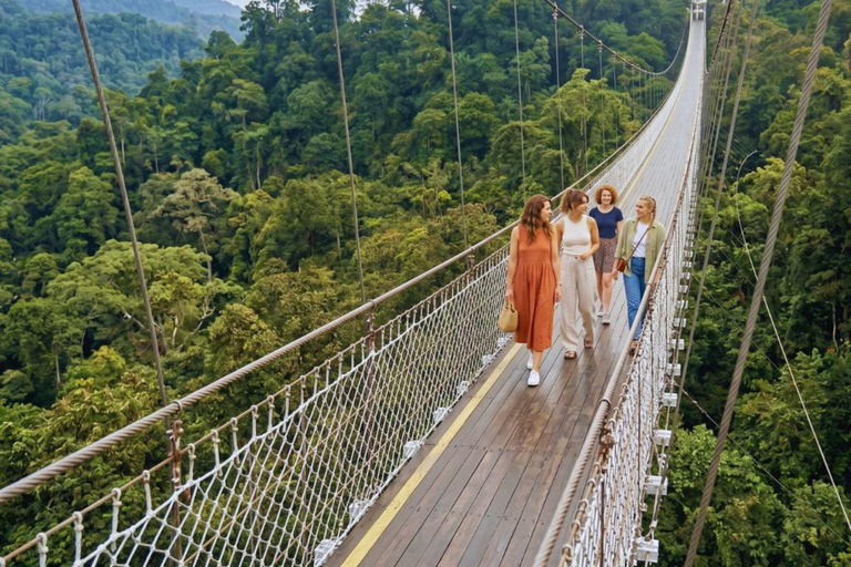 Jakarta: White Crater, Sky Bridge & Hot Springs Premium Tour Bandung: White Crater, Bridge & Hot Springs Tour
