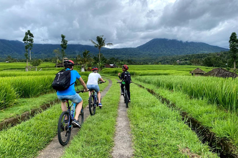 Bali: pola ryżowe, wioska ptaków, wycieczka rowerowa do gorących źródełBali: pola ryżowe, wioska ptaków, gorące źródła – wycieczka rowerowa